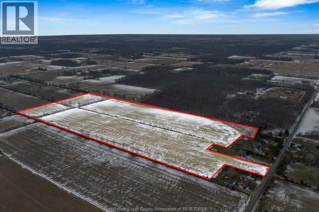 Kingsville — Kingsville - Photo 5 of 17