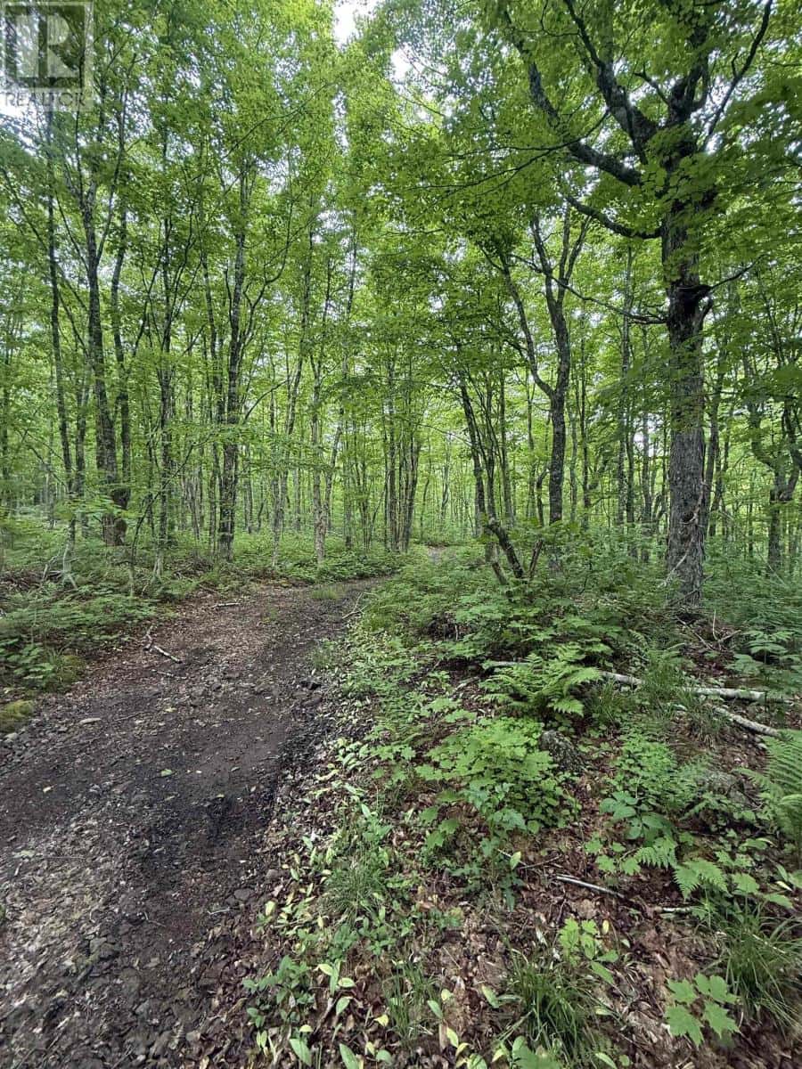 New Annan — New Annan - Photo 4 of 10