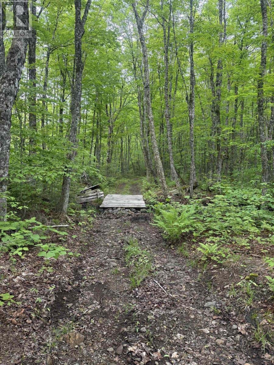 New Annan — New Annan - Photo 2 of 10