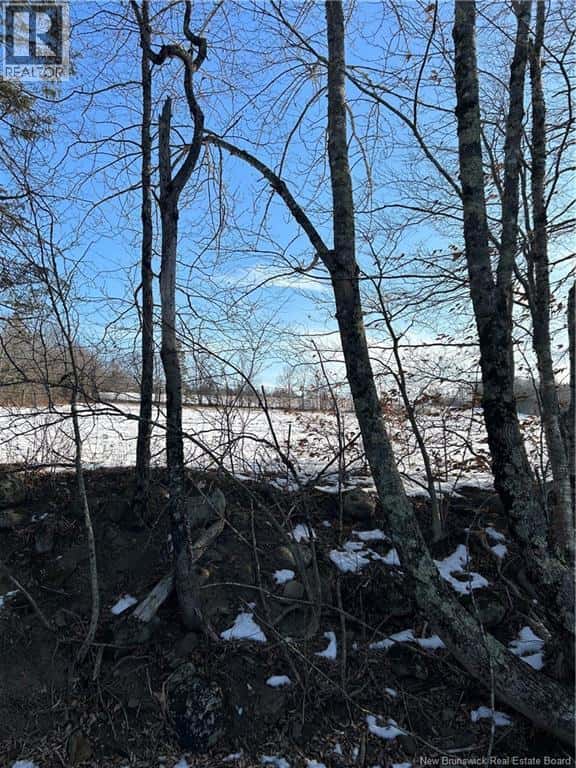 O Resevoir Road — St. Stephen - Photo 4 of 7