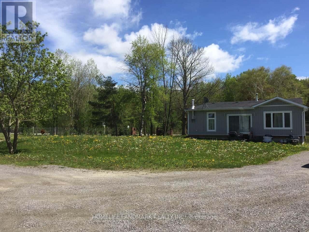 Georgina (Belhaven) — Georgina (Belhaven) - Photo 5 of 12