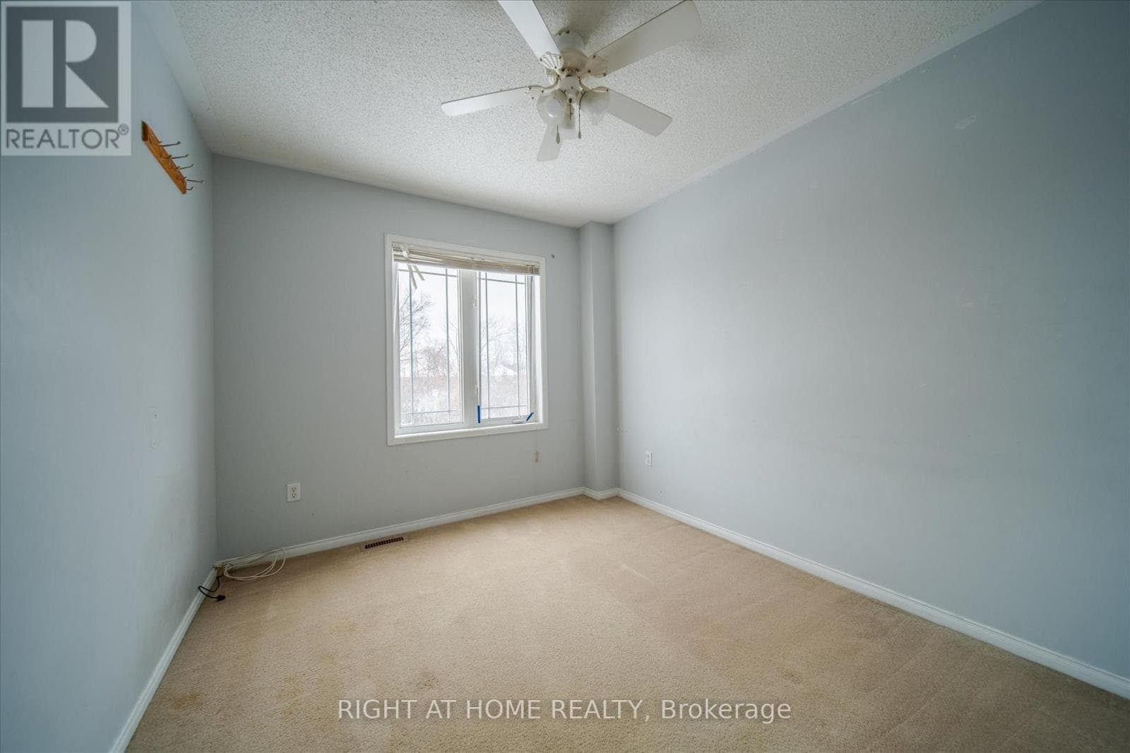 Pickering (Highbush) — Pickering (Highbush) - Main photo