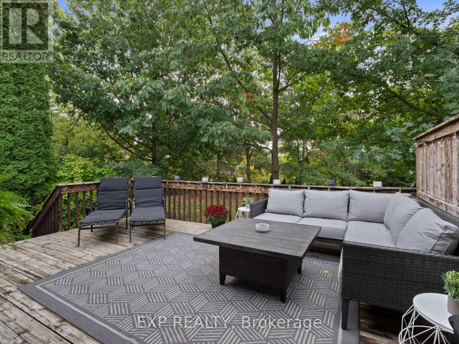 Niagara Falls (Mt. Carmel) — Niagara Falls (Mt. Carmel) - Main photo