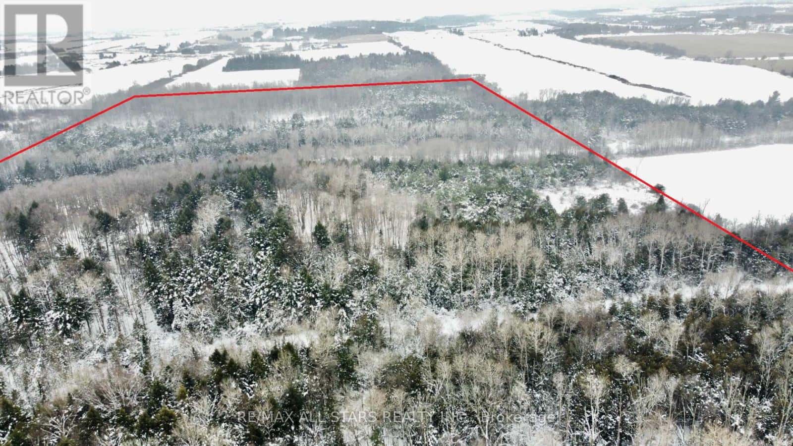 Whitchurch-Stouffville — Whitchurch-Stouffville - Photo 4 of 8