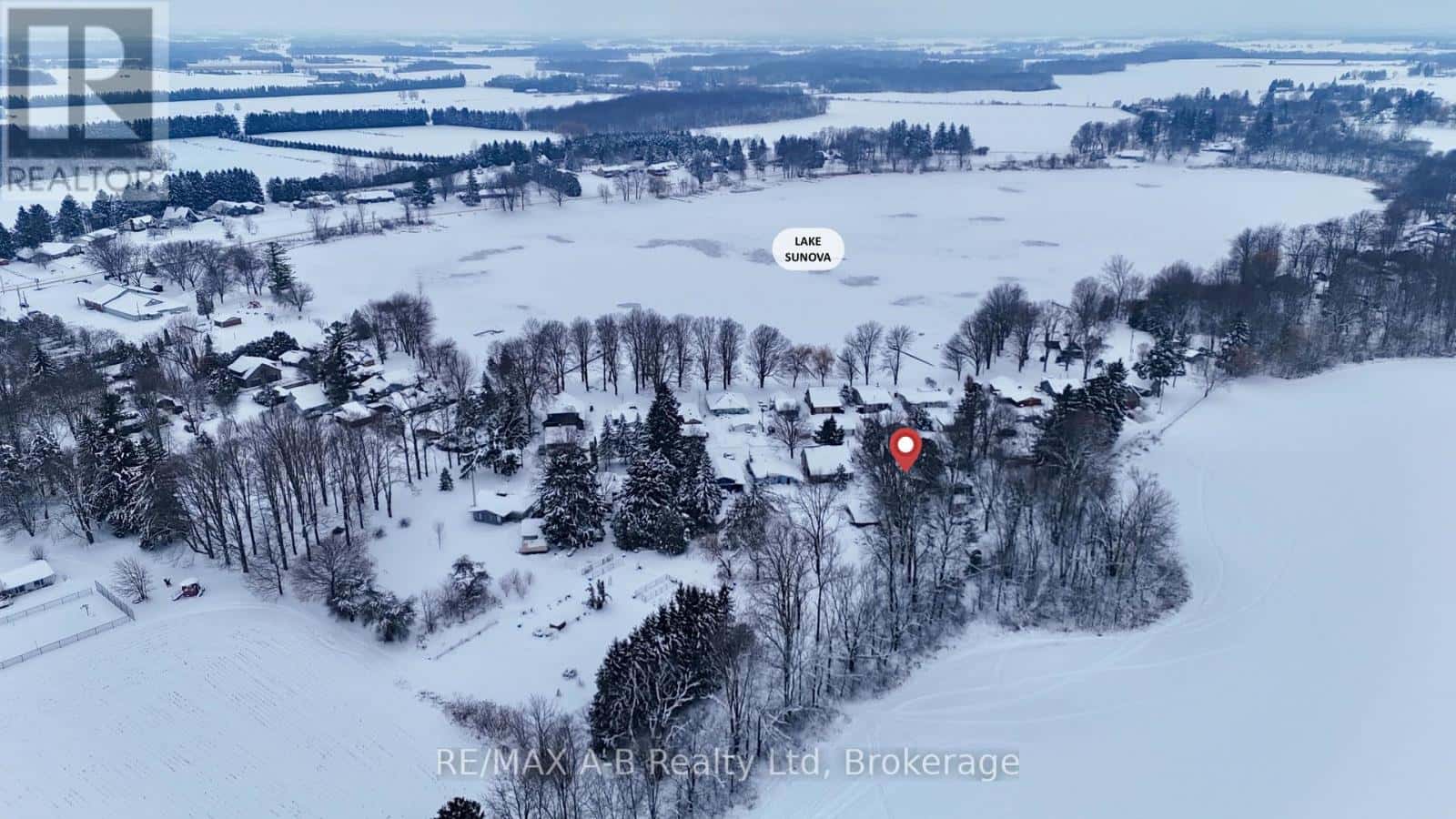 Zorra — Zorra - Photo 5 of 50