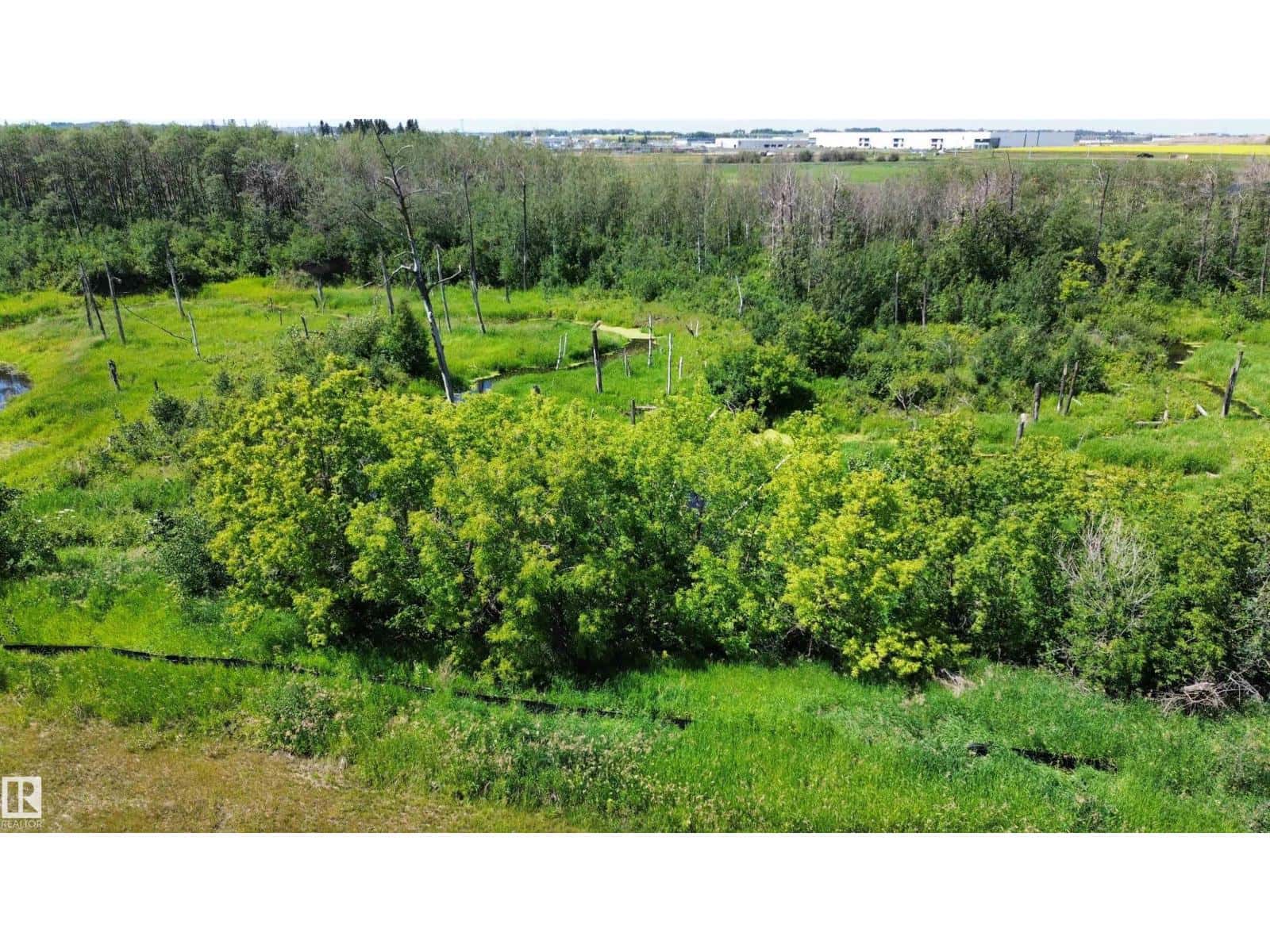 Rural Leduc County — Rural Leduc County - Photo 4 of 5