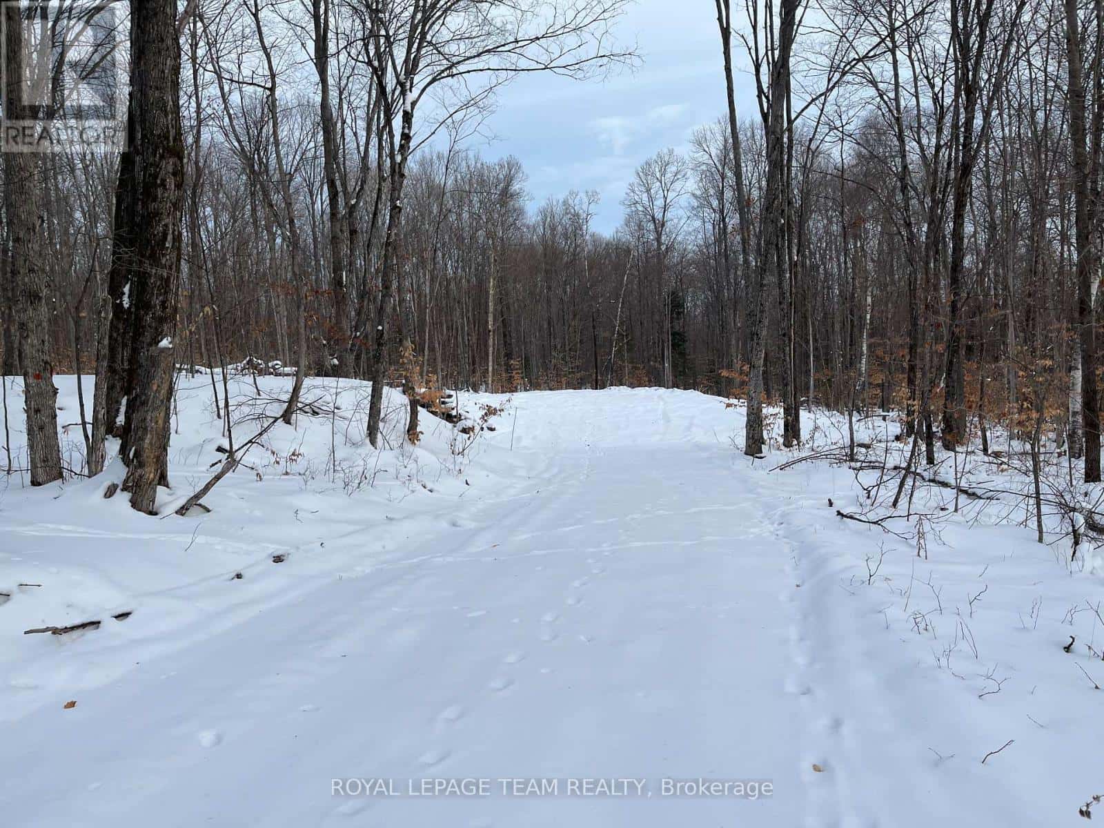 Madawaska Valley — Madawaska Valley - Photo 5 of 6