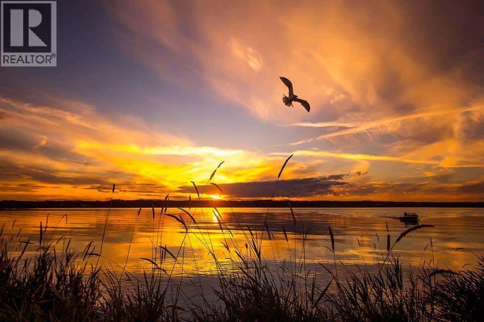 Rural Lac La Biche County — Rural Lac La Biche County - Photo 5 of 7