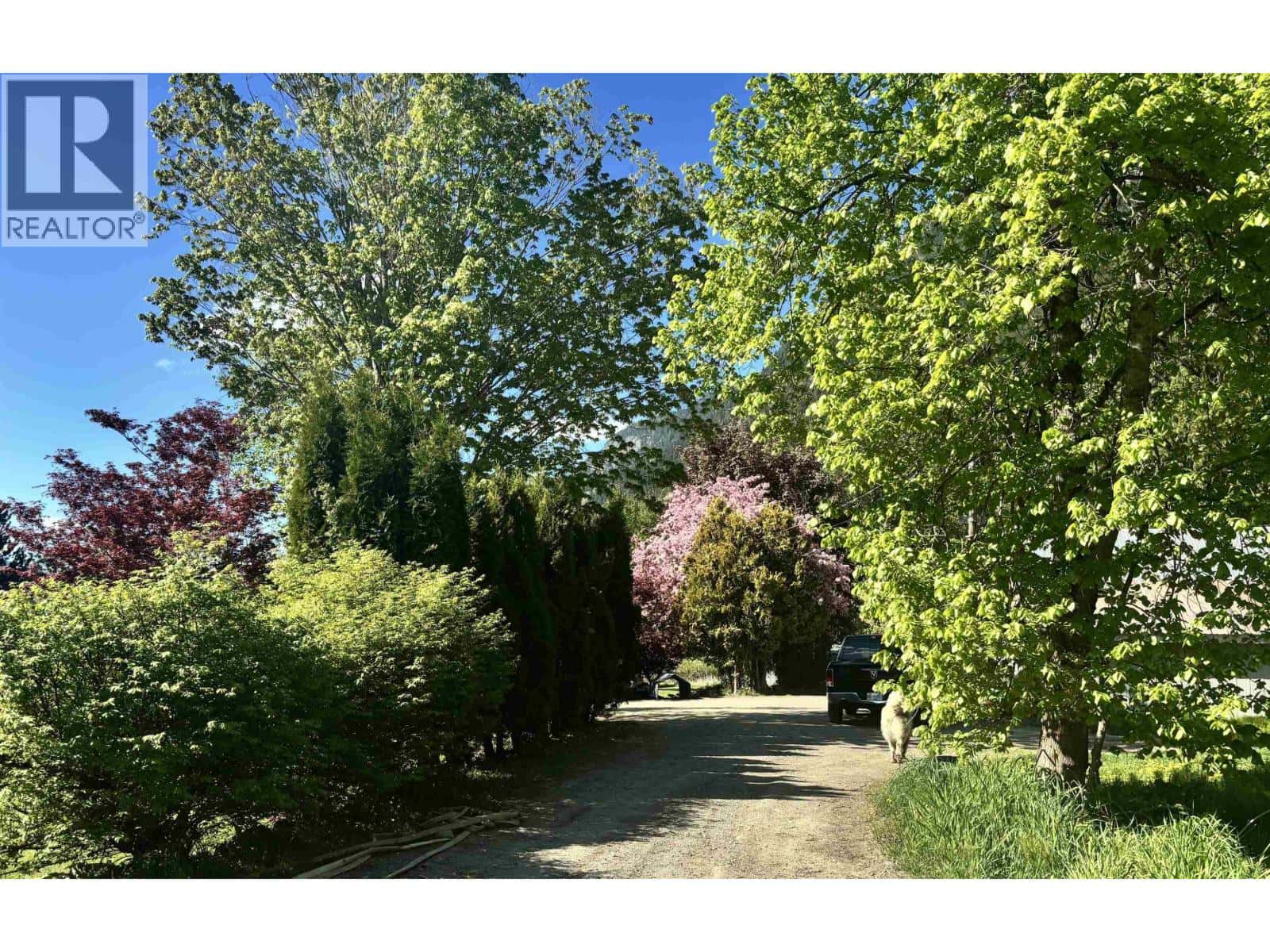 Pemberton — Pemberton - Photo 5 of 8