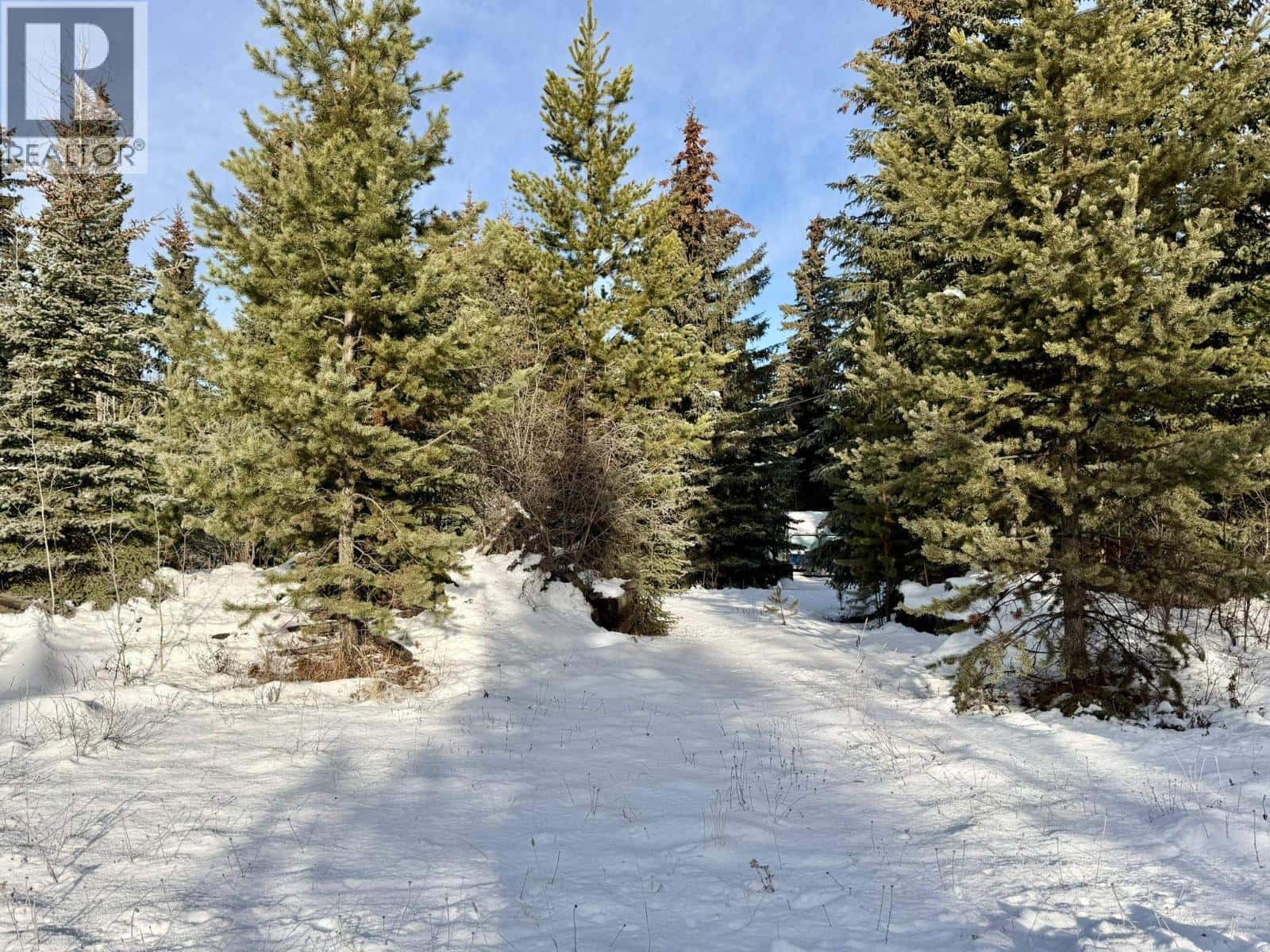 7631 WOMACK ROAD — Deka Lake / Sulphurous / Hathaway Lakes, British Columbia - Photo 3 of 18