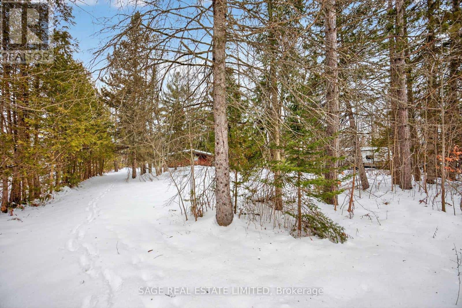 7856 BIRCH DRIVE — Ramara - Photo 2 of 36