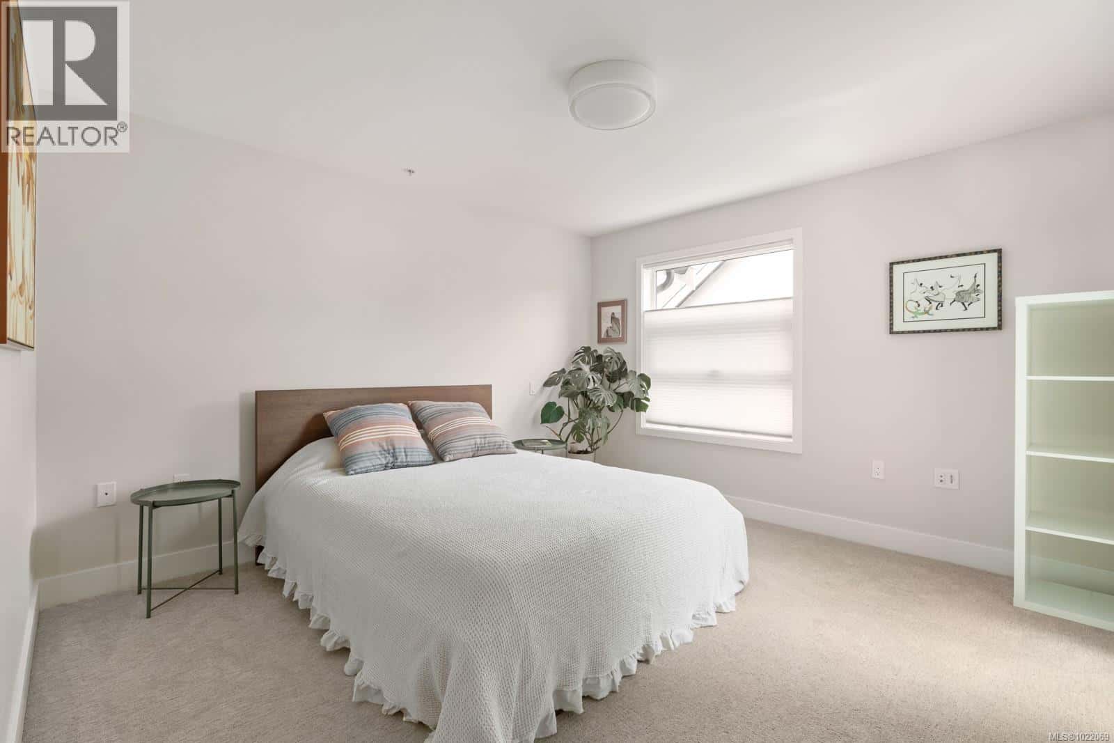 Sidney — Sidney - Photo 3 of 34