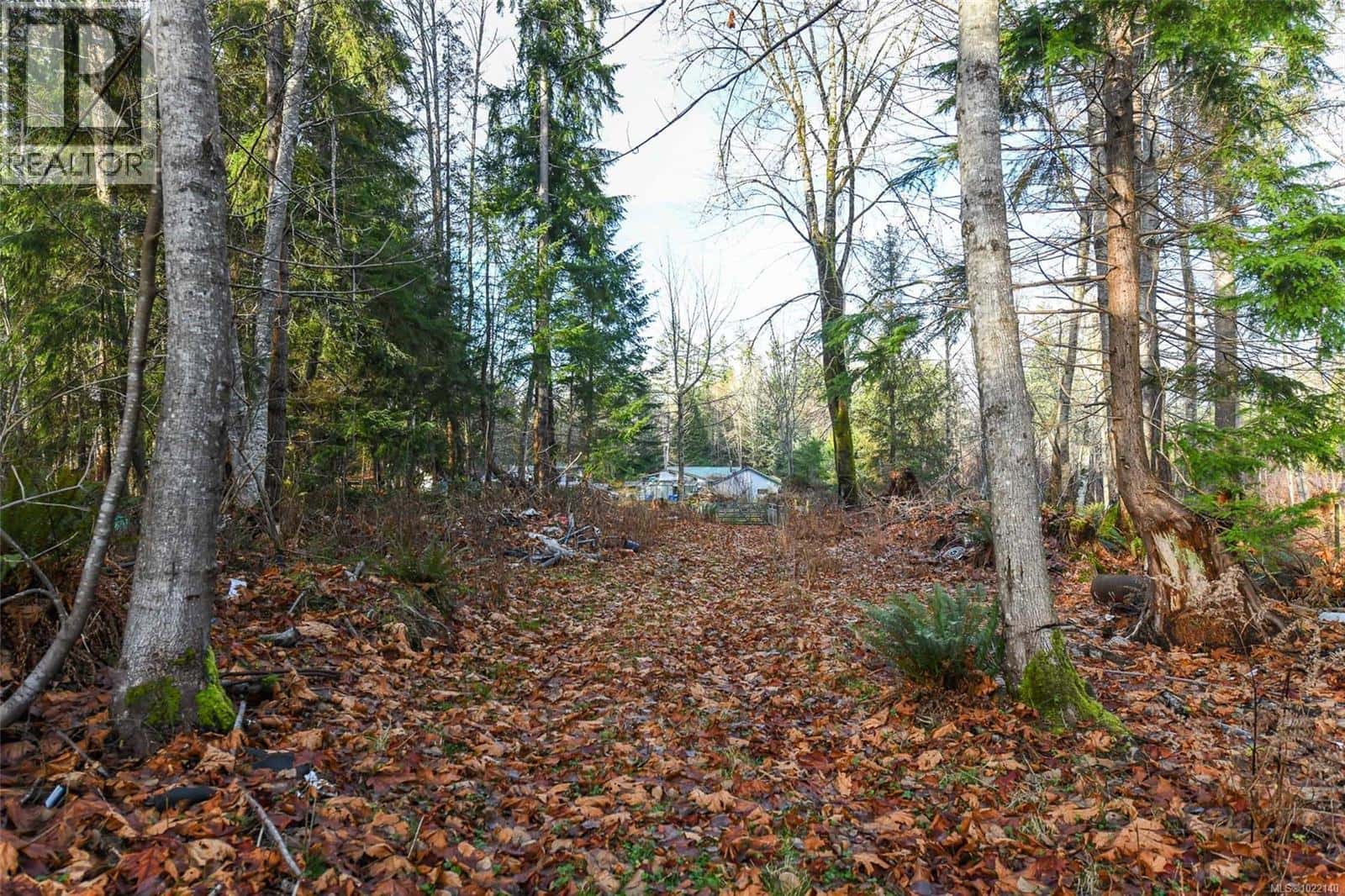 Black Creek — Black Creek - Photo 5 of 48