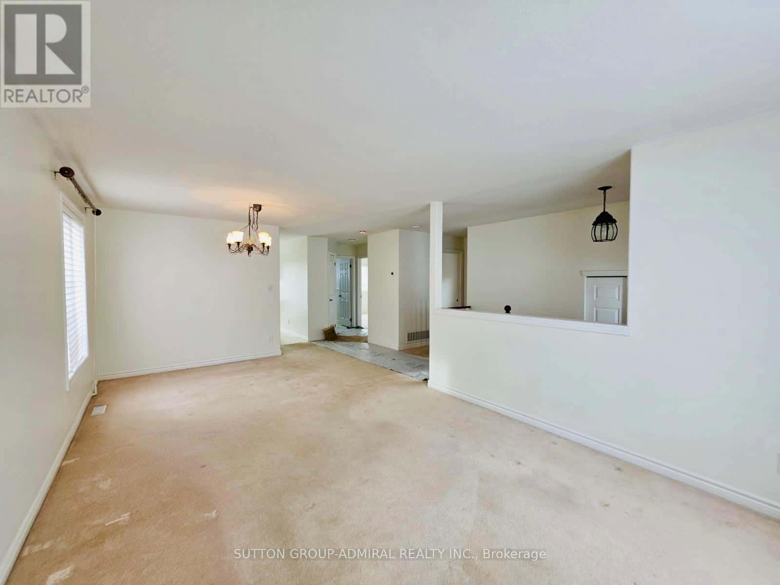 Barrie (Holly) — Barrie (Holly) - Photo 4 of 17