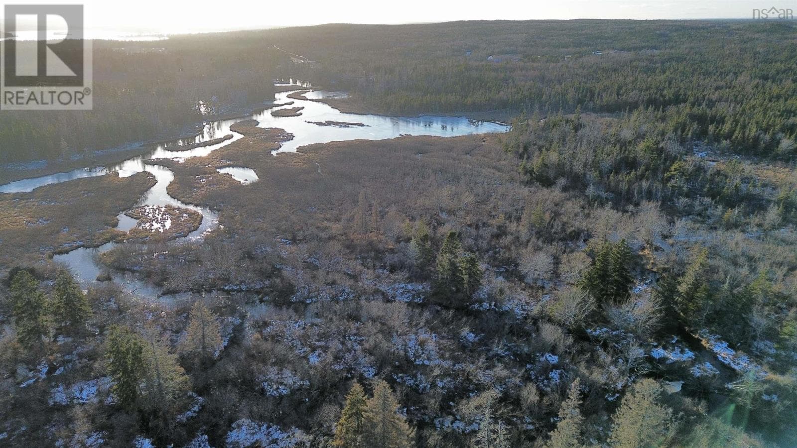 Albert Bridge — Albert Bridge - Main photo