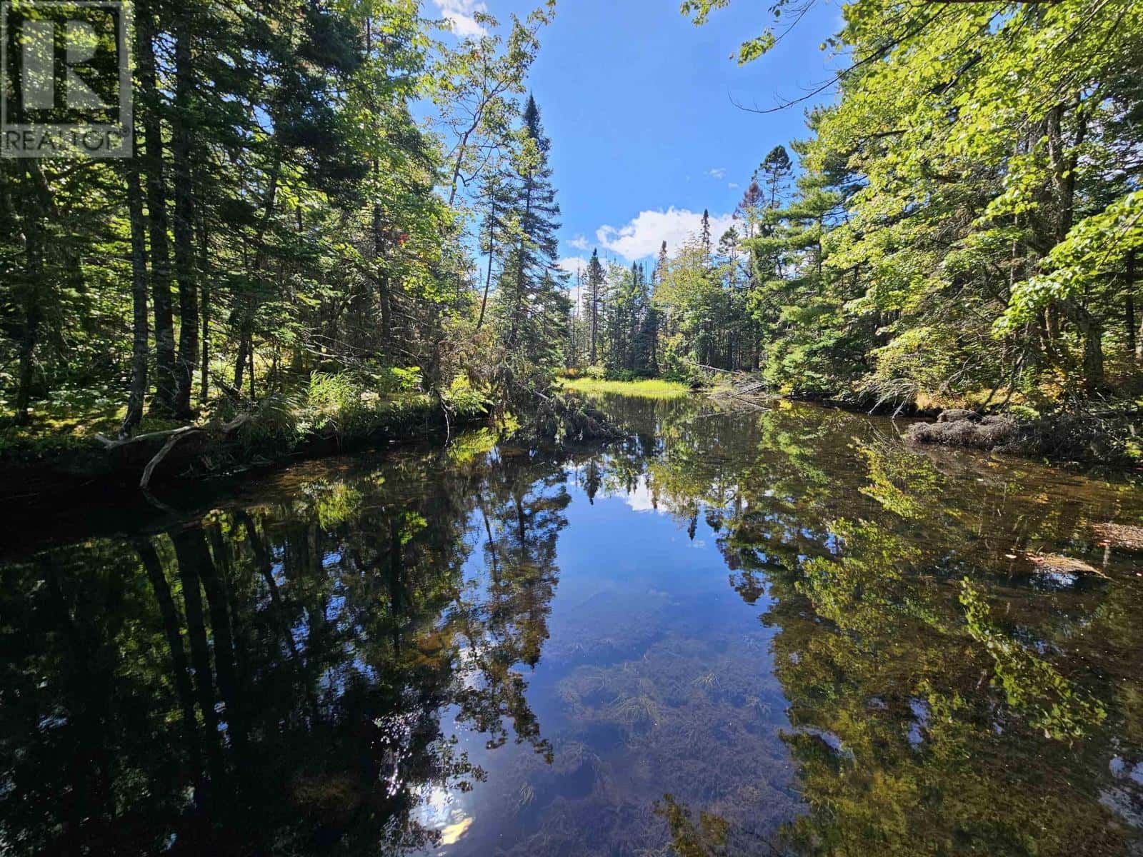 Albert Bridge — Albert Bridge - Photo 3 of 17