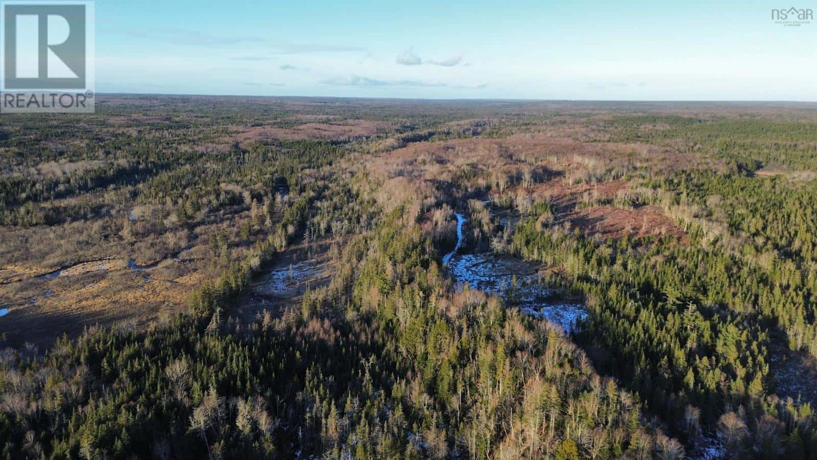 Albert Bridge — Albert Bridge - Photo 5 of 17