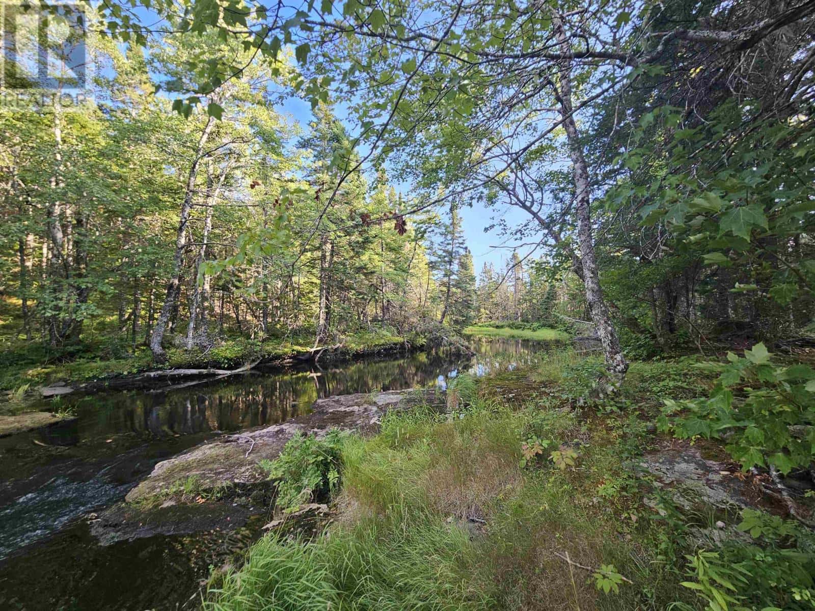 Albert Bridge — Albert Bridge - Photo 4 of 17