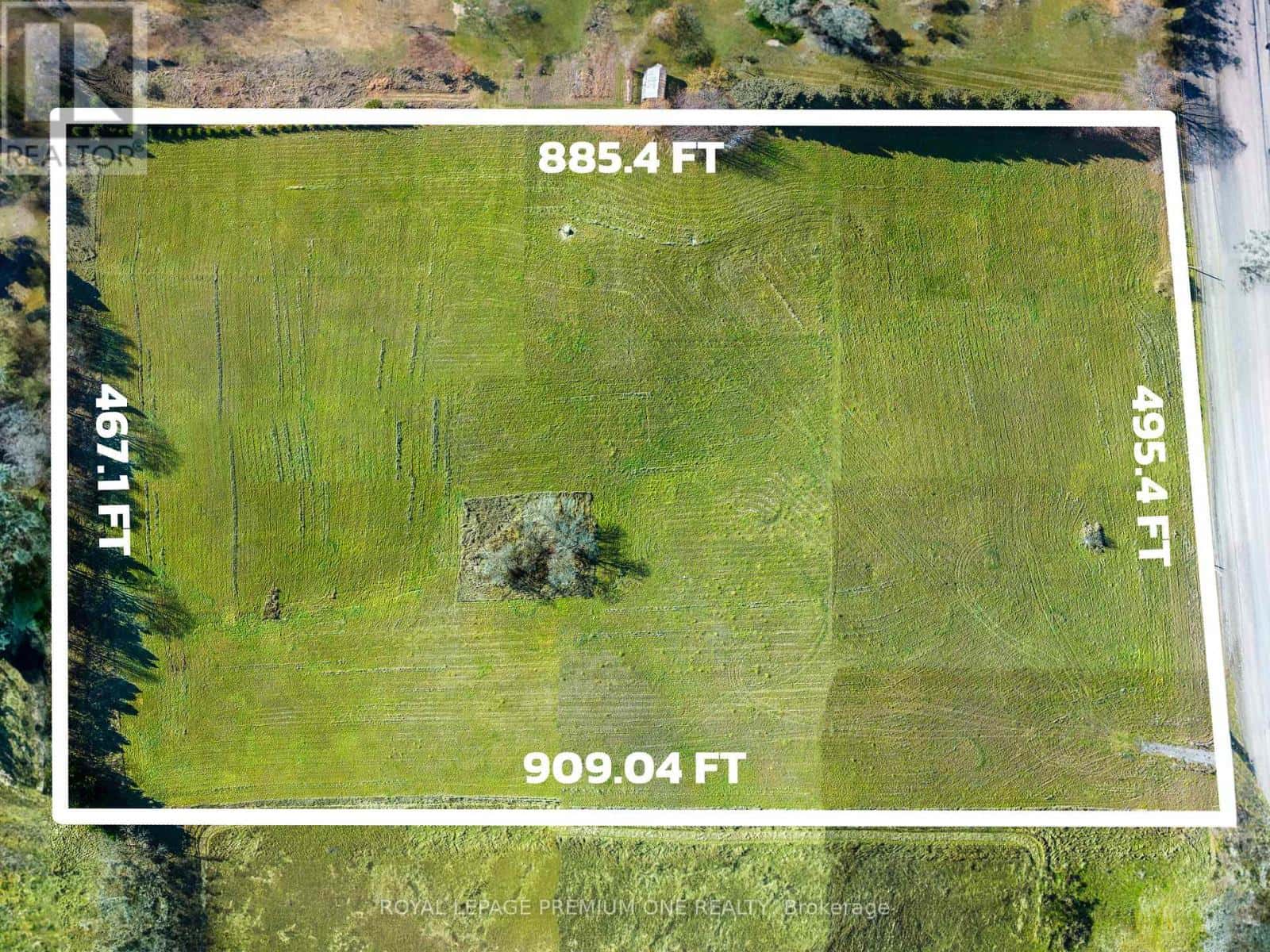 Caledon (Palgrave) — Caledon (Palgrave) - Photo 4 of 17