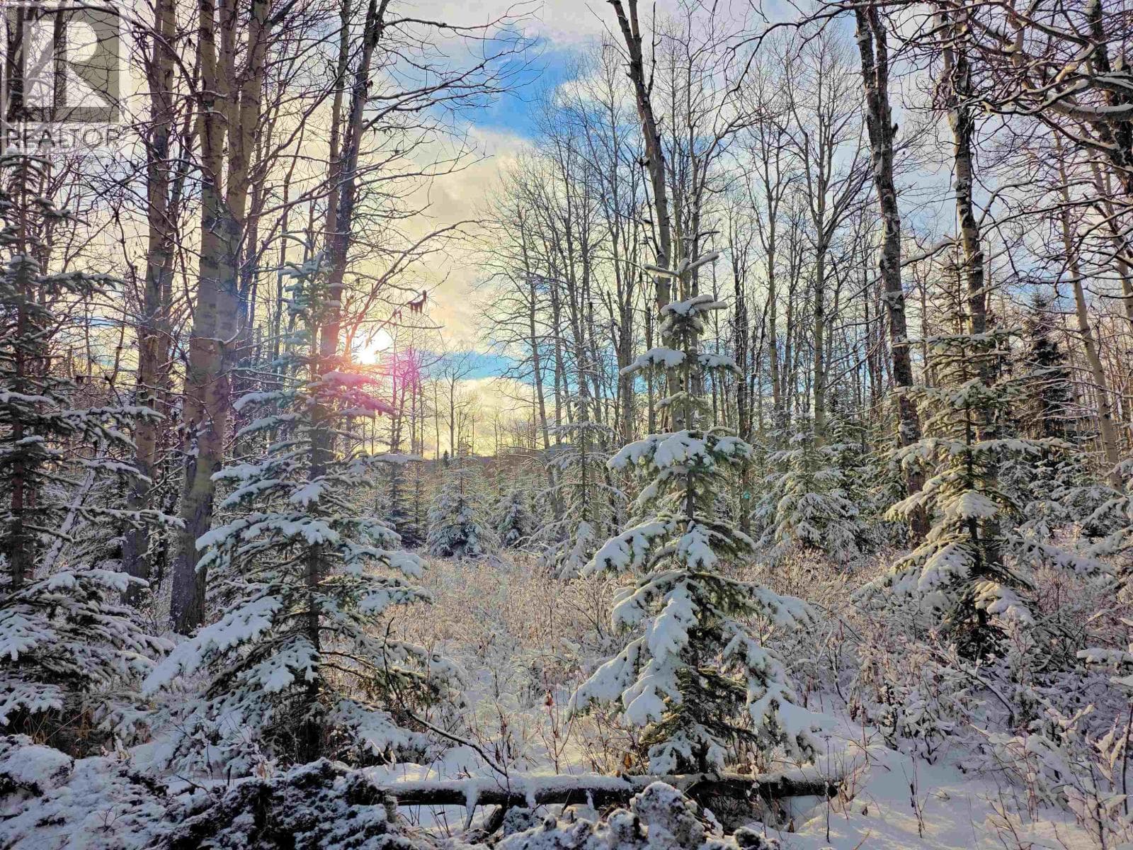 FRAC N1/2 DL 2557 BINTA ROAD — Burns Lake, British Columbia - Main photo