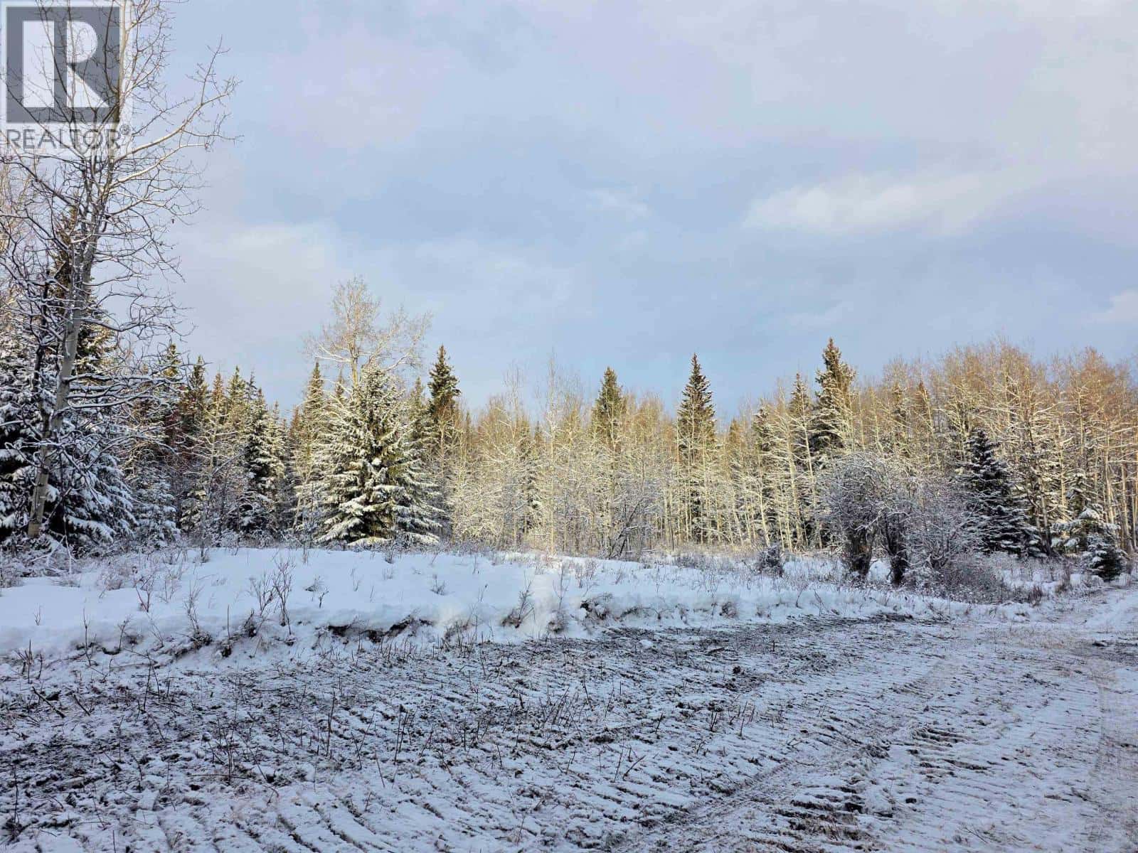 FRAC N1/2 DL 2557 BINTA ROAD — Burns Lake, British Columbia - Photo 5 of 21