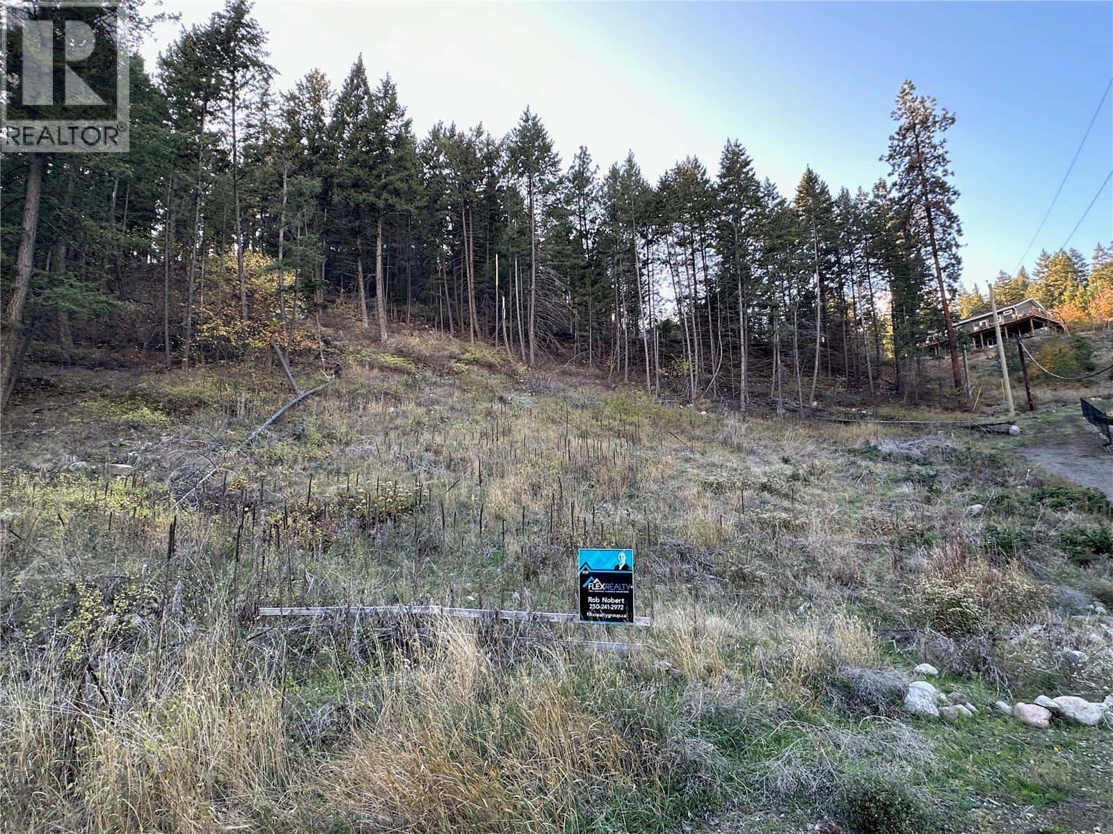 Vernon — Vernon - Photo 2 of 8