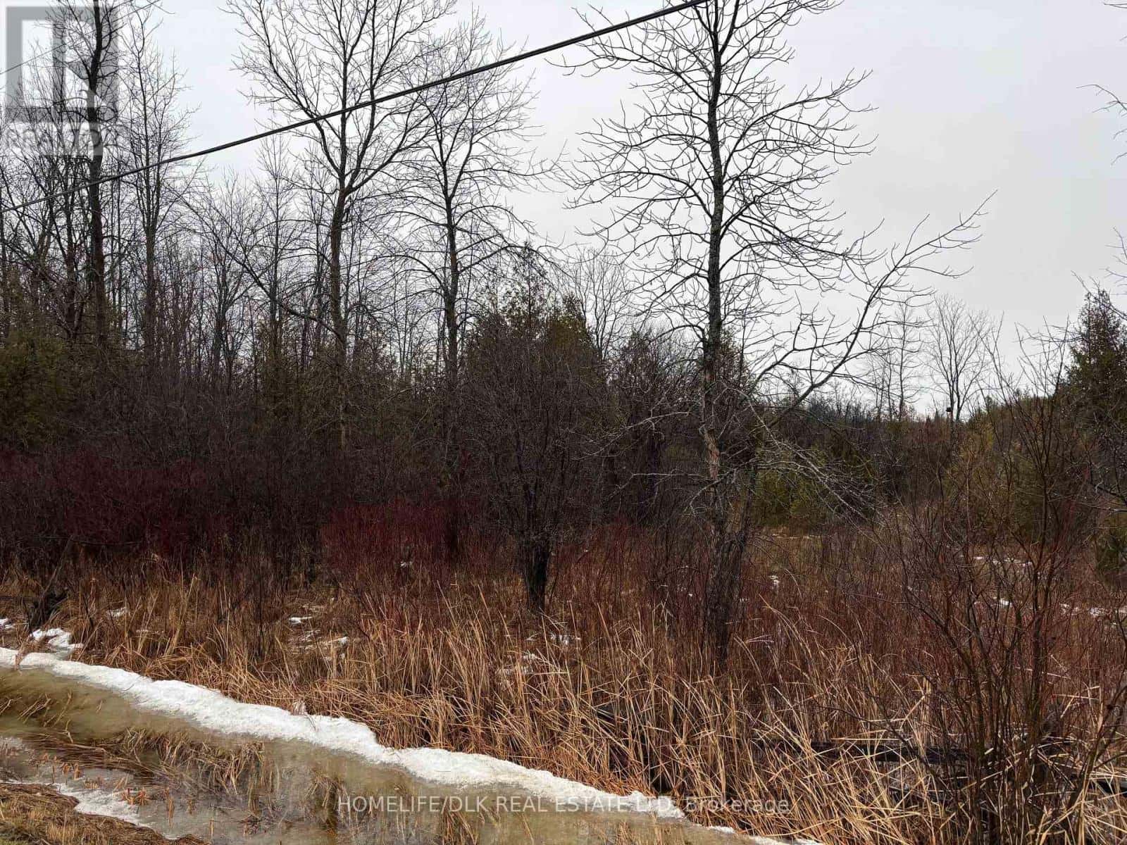 0 6TH CONCESSION ROAD — Augusta - Photo 2 of 5