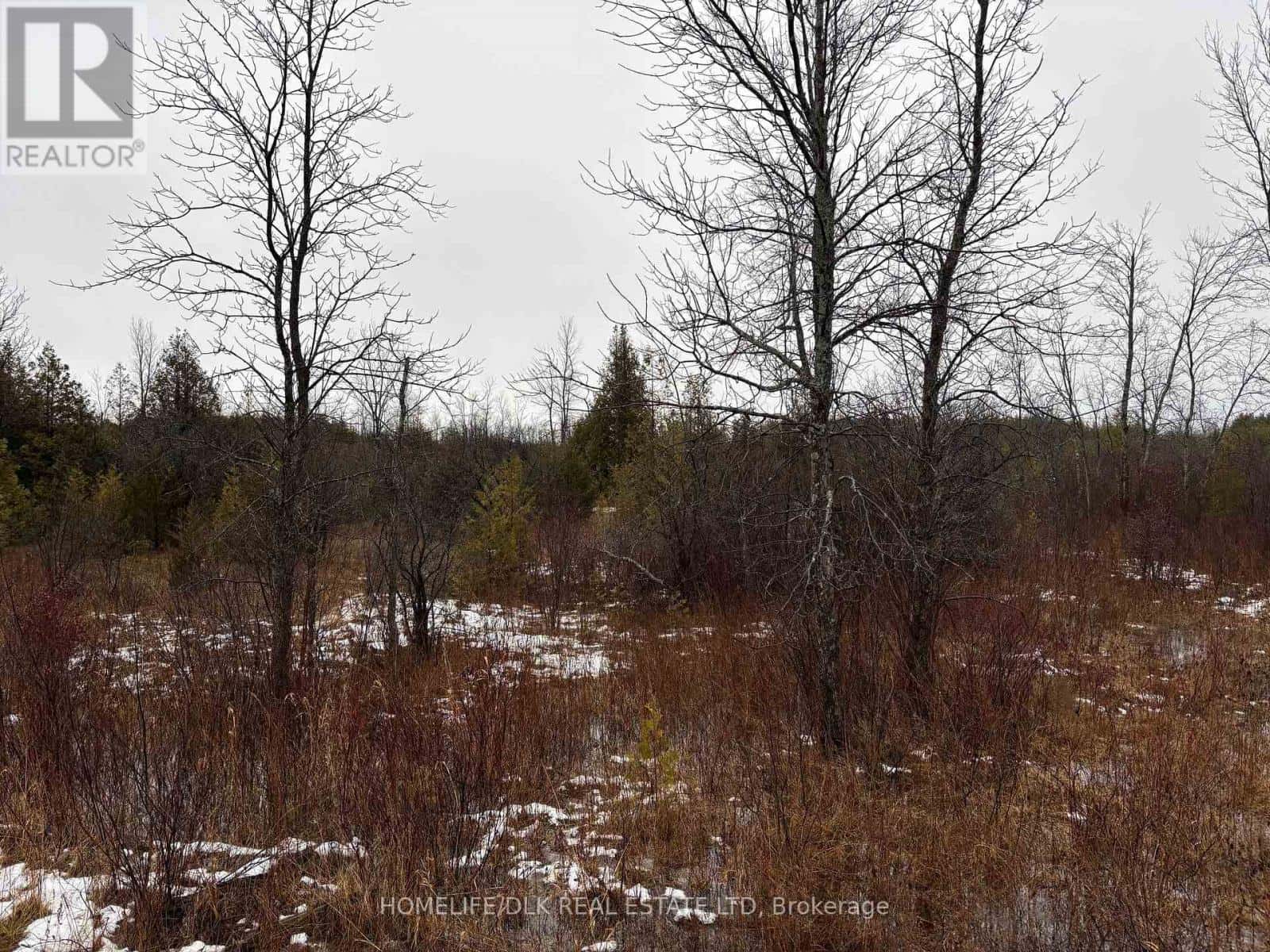 0 6TH CONCESSION ROAD — Augusta - Photo 4 of 5