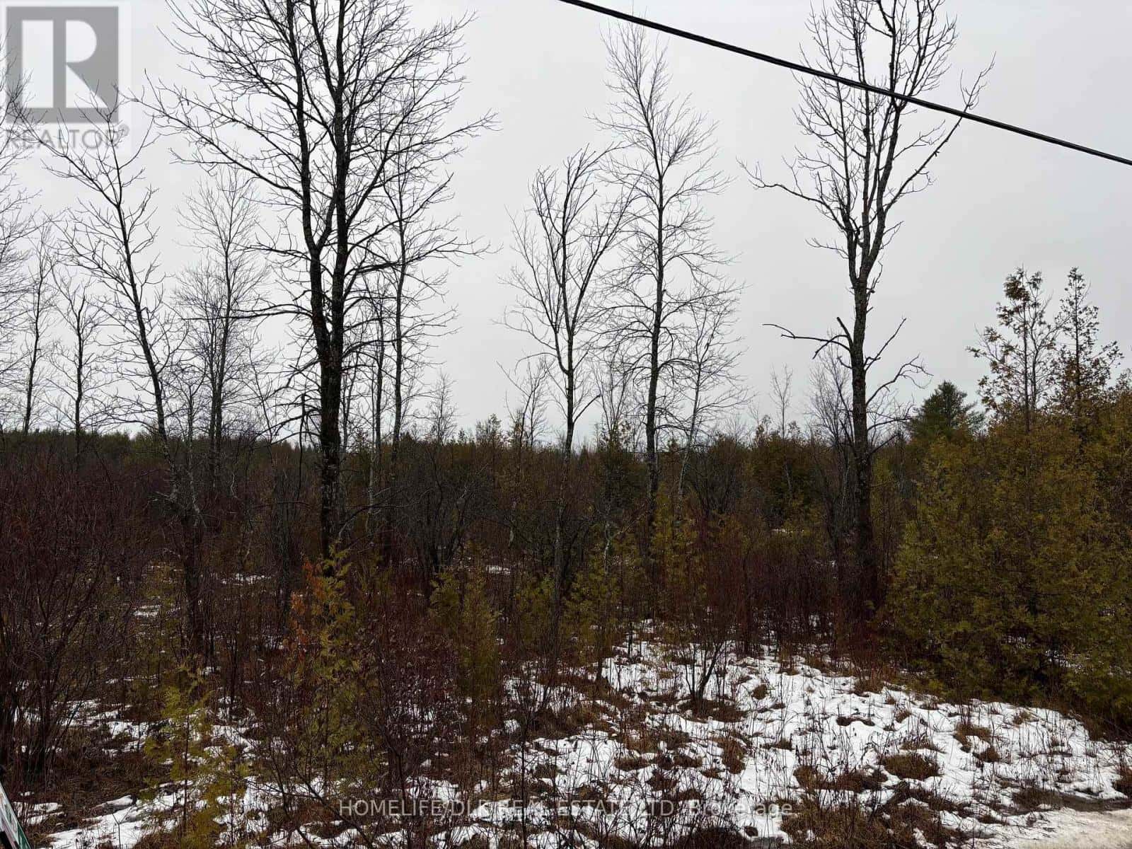 0 6TH CONCESSION ROAD — Augusta - Photo 5 of 5