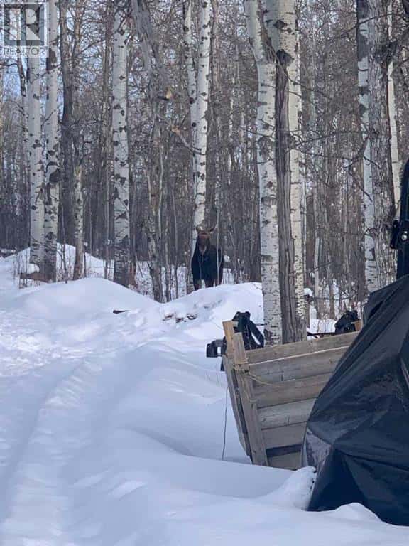 Range Road 44 — Rural Mountain View County, Alberta - Photo 3 of 3