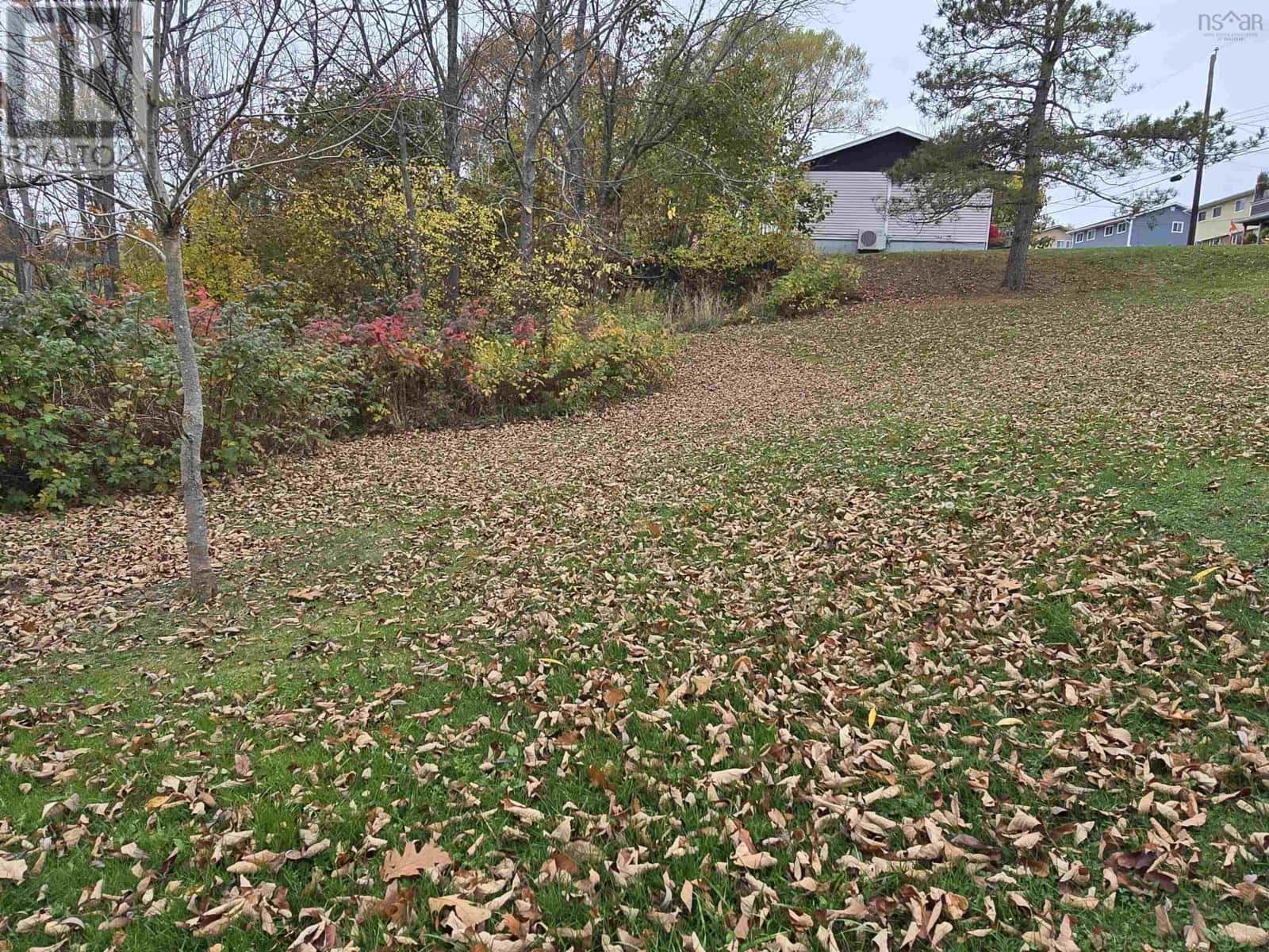 25-1 Weir Avenue — Stellarton, Nova Scotia - Photo 3 of 6