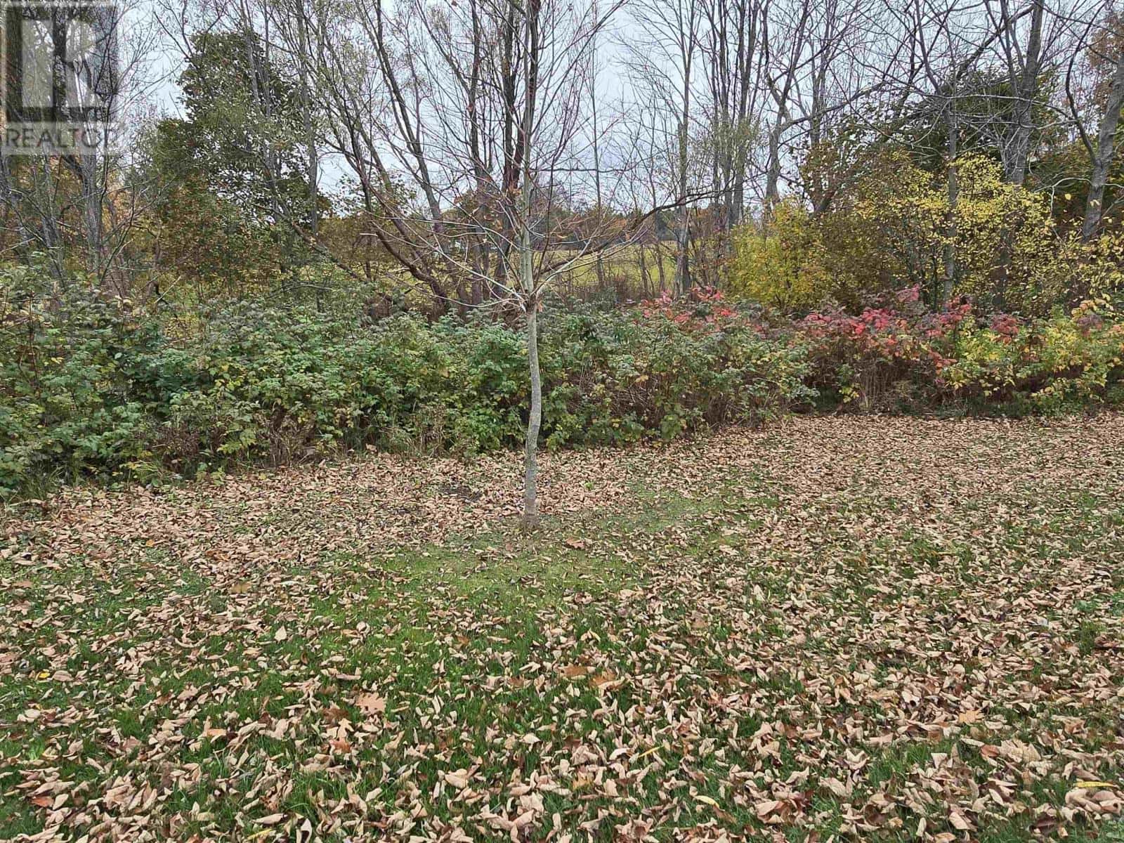 25-1 Weir Avenue — Stellarton, Nova Scotia - Photo 4 of 6