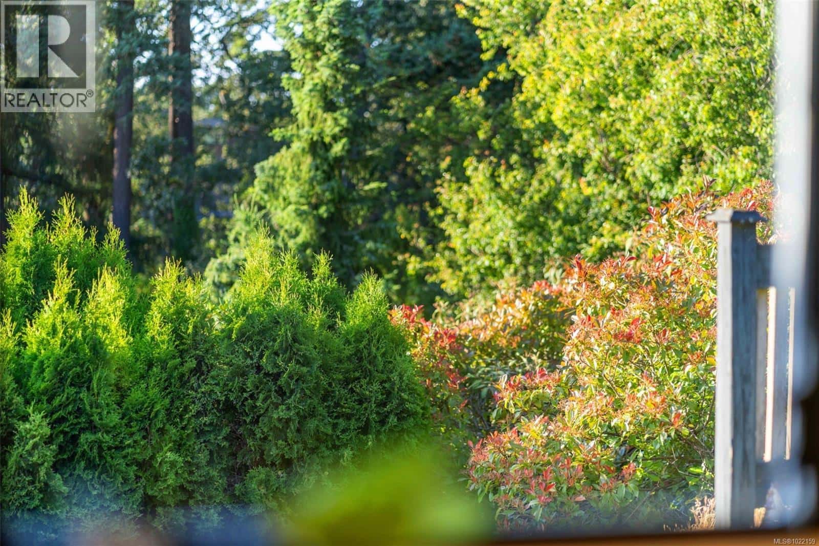 Saanich — Saanich - Photo 4 of 41