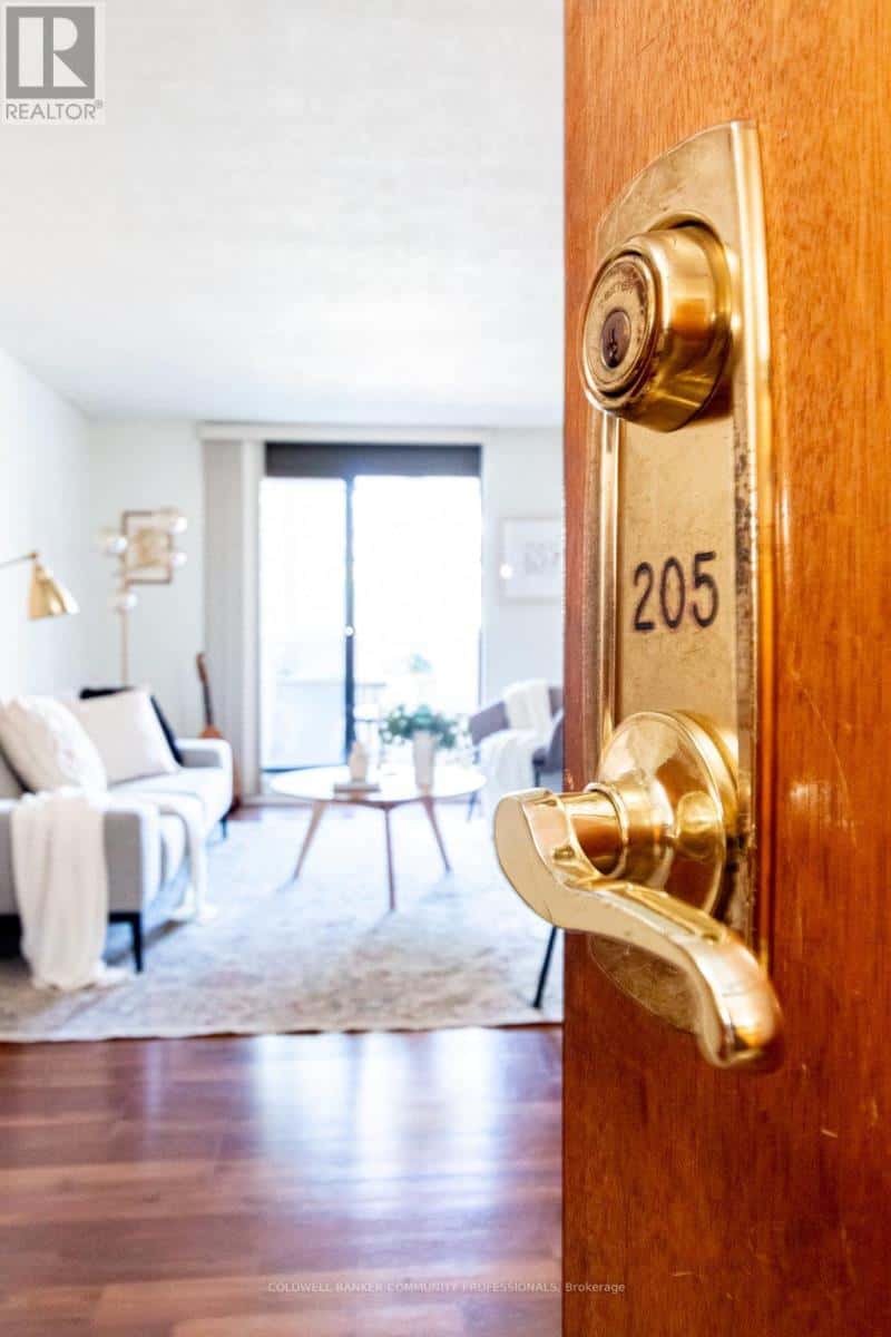 205 - 23 MAIN STREET — Hamilton (Dundas), Ontario - Photo 4 of 46