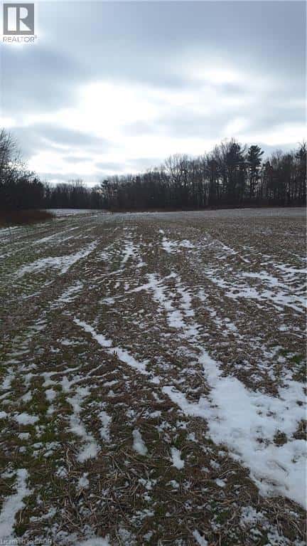 Vienna — Vienna - Photo 3 of 11