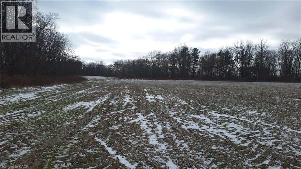 Vienna — Vienna - Photo 4 of 11