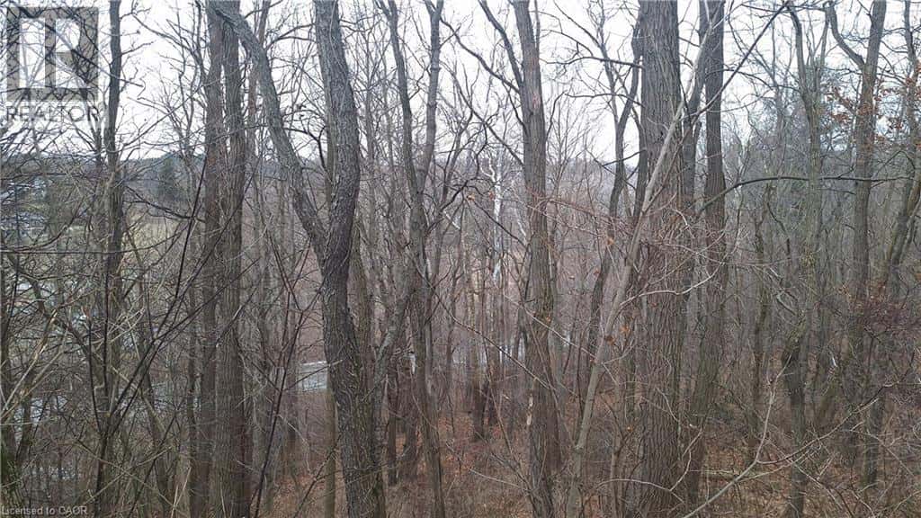 Vienna — Vienna - Photo 5 of 11