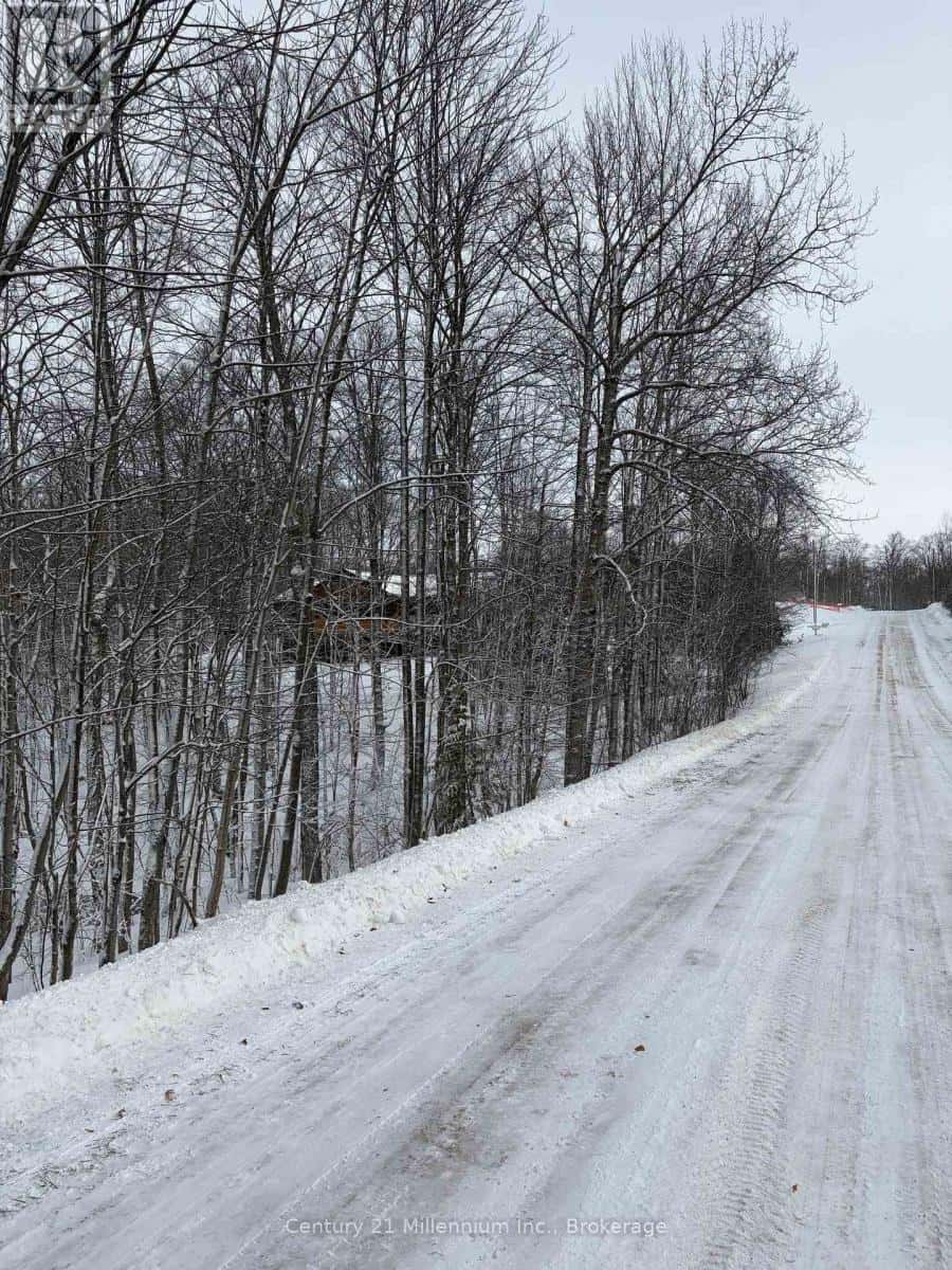 West Grey — West Grey - Photo 3 of 8