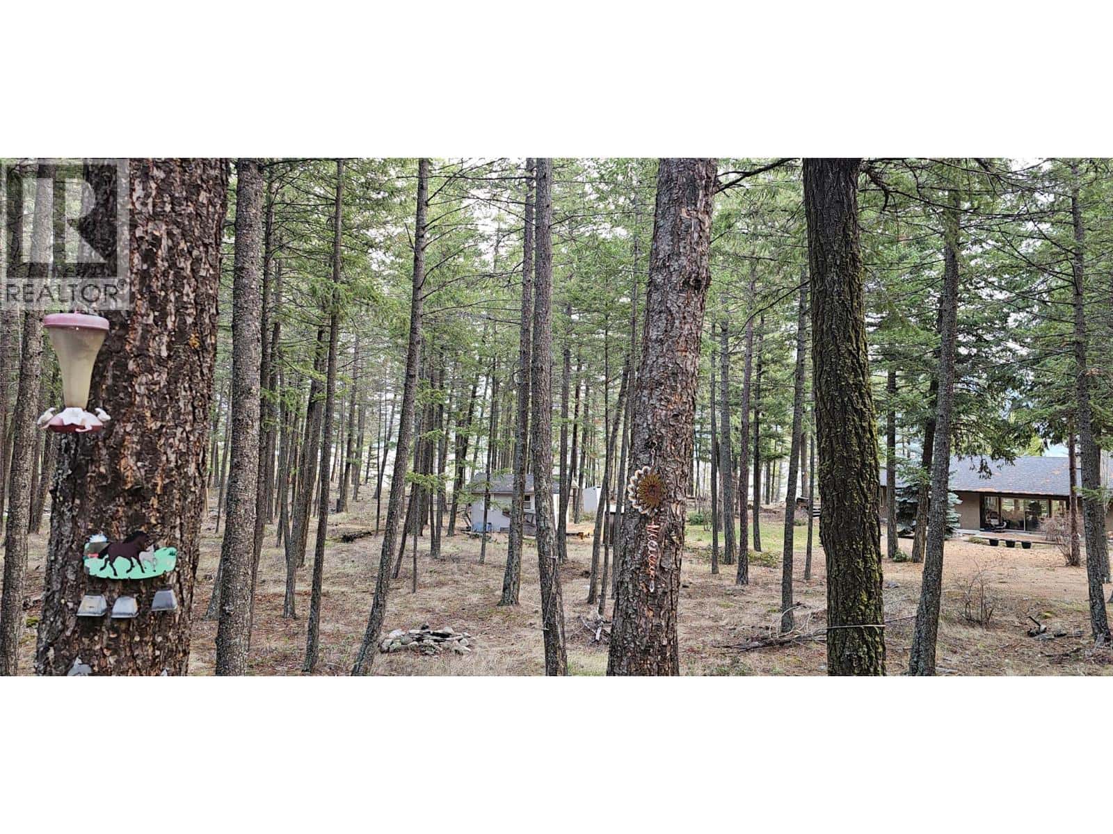 Vernon — Vernon - Photo 4 of 15