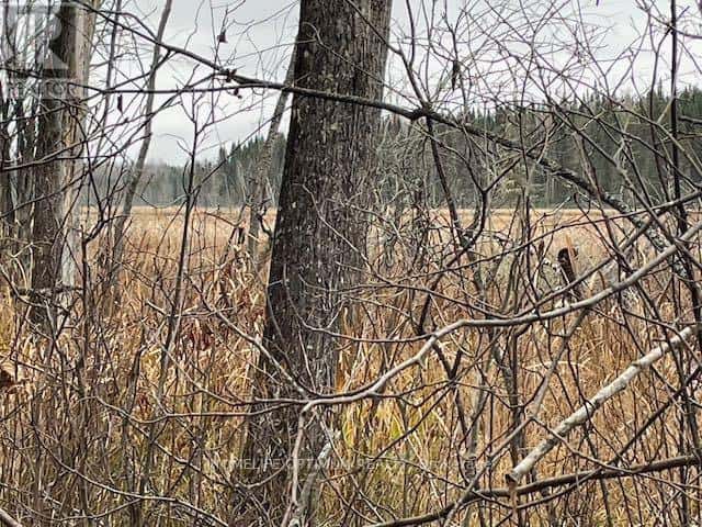 PCL 7576 0 N — Dryden - Photo 5 of 18