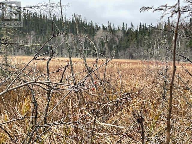 Dryden — Dryden - Photo 3 of 18