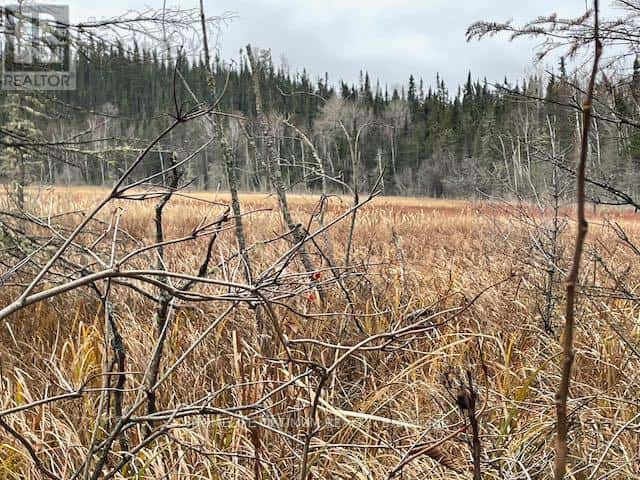 Dryden — Dryden - Photo 4 of 18