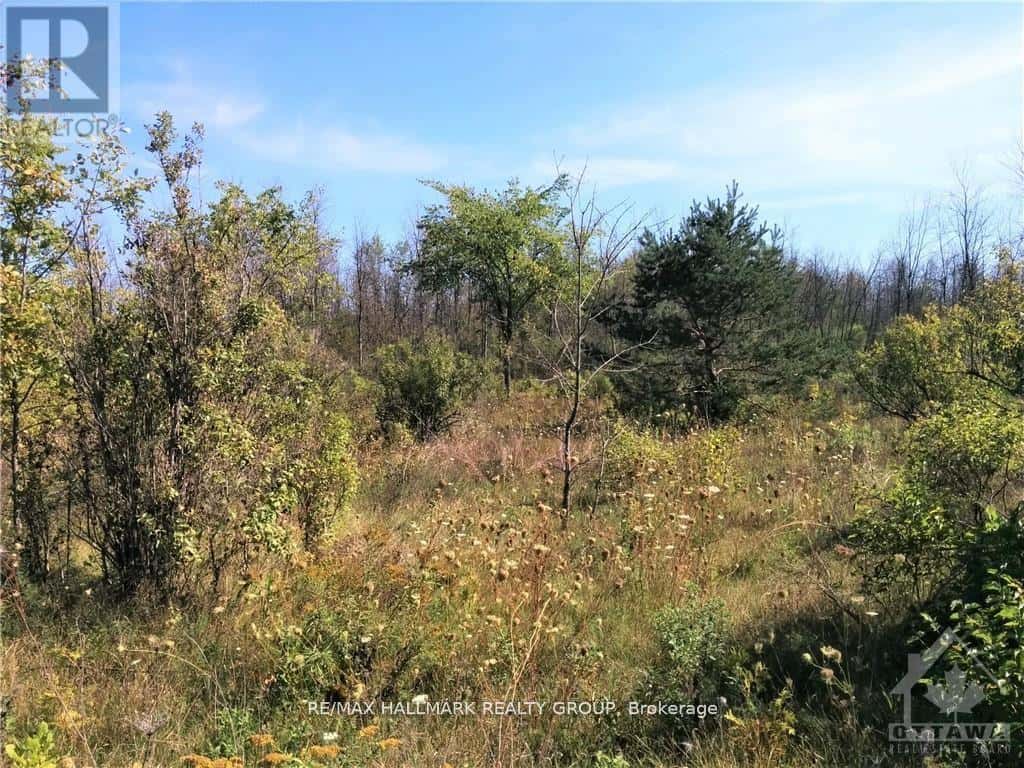 49 RIDEAU AVENUE N — Montague - Photo 4 of 5