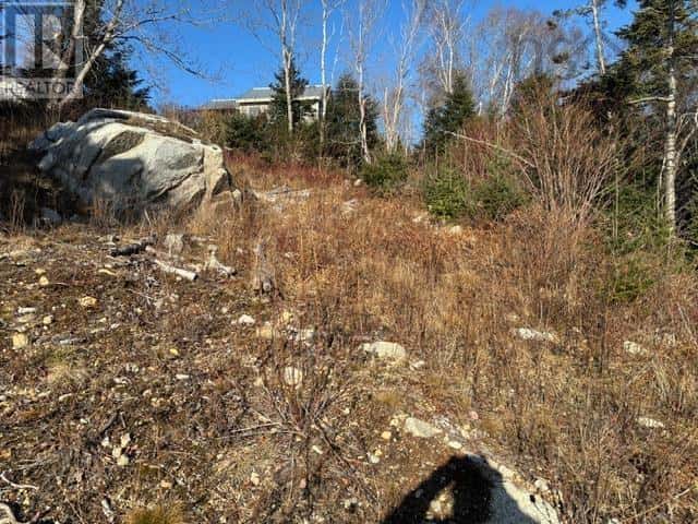 7 4431A Prospect Road — Bayside - Photo 2 of 12