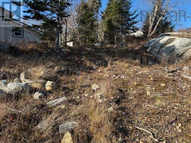 7 4431A Prospect Road — Bayside - Photo 3 of 12