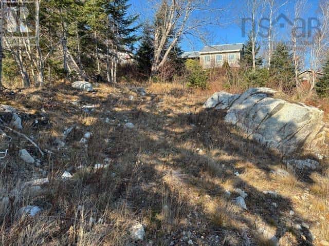 7 4431A Prospect Road — Bayside - Photo 5 of 12