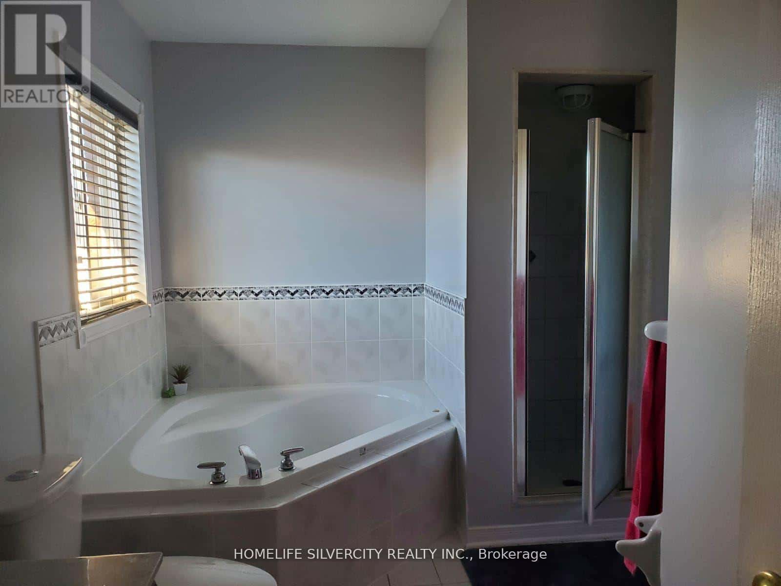 Brampton (Fletcher's Meadow) — Brampton (Fletcher's Meadow) - Photo 4 of 12