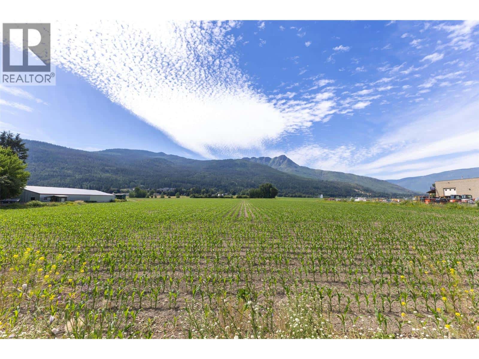 1490 10 Avenue SW Lot# 1 — Salmon Arm, British Columbia - Photo 3 of 11