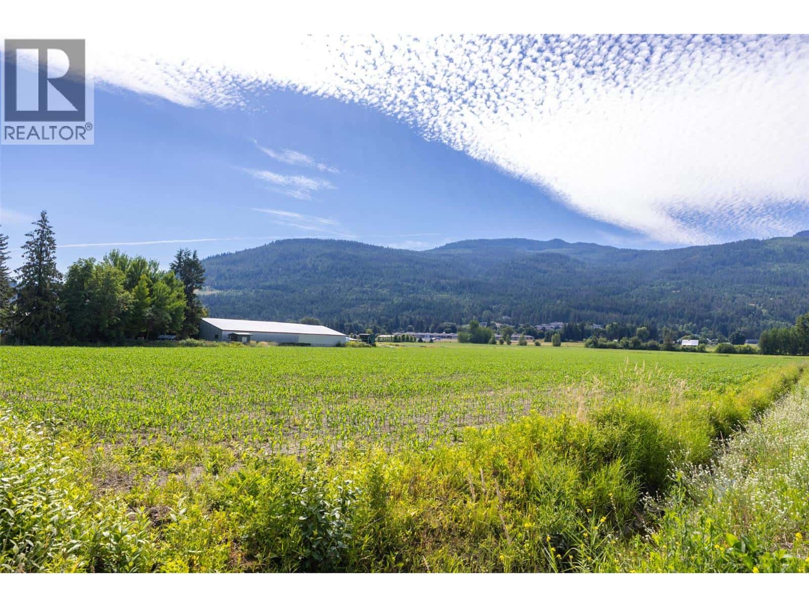 1490 10 Avenue SW Lot# 1 — Salmon Arm, British Columbia - Photo 5 of 11