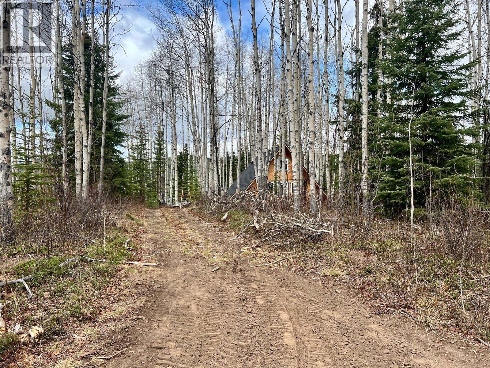 5095 TEAL ROAD — Burns Lake, British Columbia - Photo 3 of 8